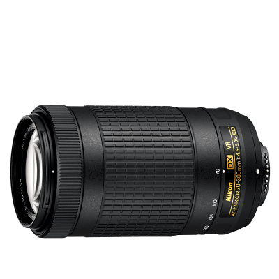 AF-P DX NIKKOR 70-300mm f/4.5-6.3G ED VR
