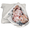 Vankus z fotografii